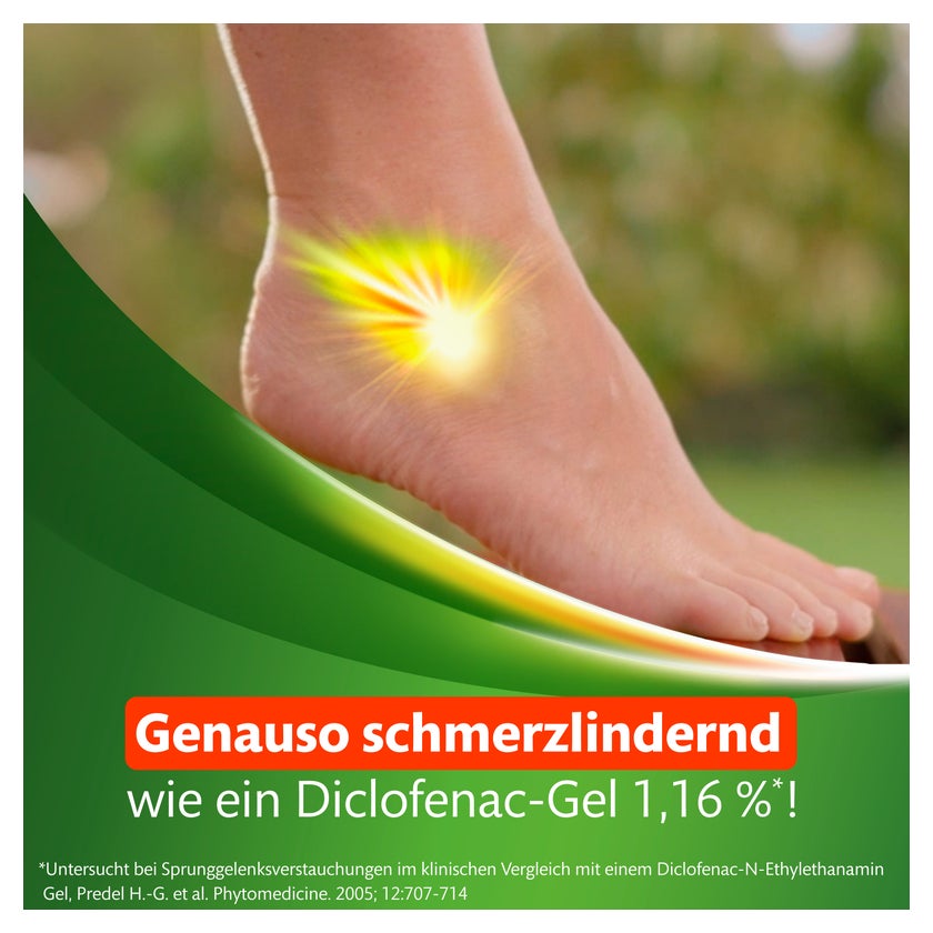 Kytta Schmerzsalbe 150 g