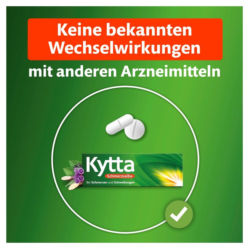 Kytta Schmerzsalbe 150 g