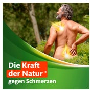 Kytta Schmerzsalbe 150 g