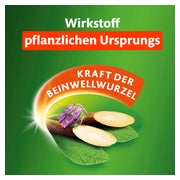 Kytta Schmerzsalbe 150 g