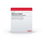 Silicea Injeel Ampullen 100 St
