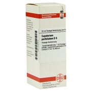Produktabbildung: Eupatorium Perfoliatum D 6 Dilution 20 ml