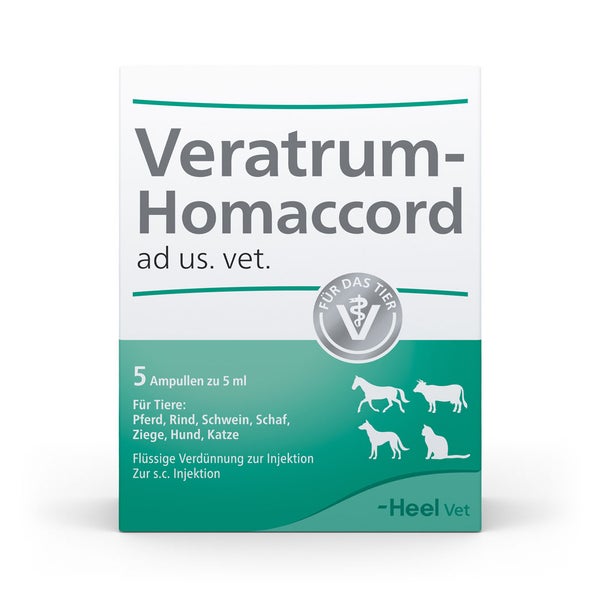 Veratrum Homaccord ad us.vet.Ampullen 5 St