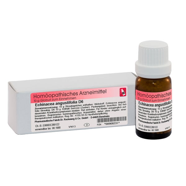 Dr. Reckeweg Echinacea Angustifolia D6 Globuli 10 g