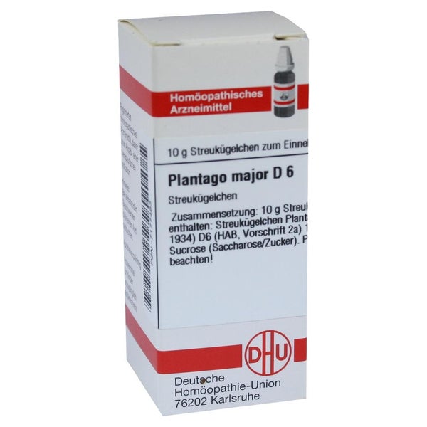 Plantago Major D 6 Globuli 10 g