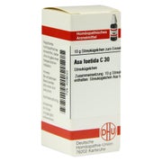 Produktabbildung: ASA Foetida C 30 Globuli 10 g