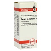 Produktabbildung: Cynara Scolymus D 6 Globuli 10 g