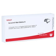 Iscucin mali Stärke H Ampullen 10X1 ml