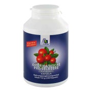 Produktabbildung: Avitale Amerikanische Preiselbeere 240 St