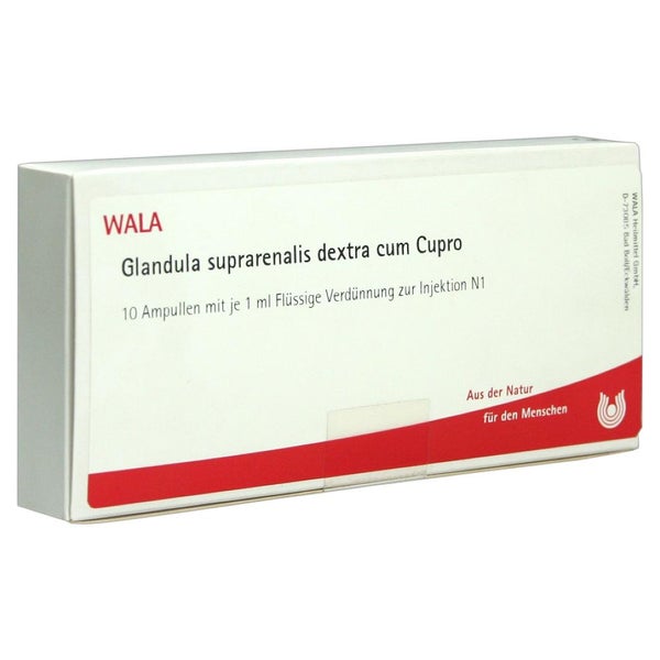 Glandula Suprarenales Dextra cum Cupro A 10X1 ml