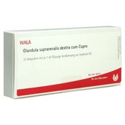 Produktabbildung: Glandula Suprarenales Dextra cum Cupro A 10X1 ml