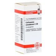 Collinsonia Canadensis C 30 Globuli 10 g