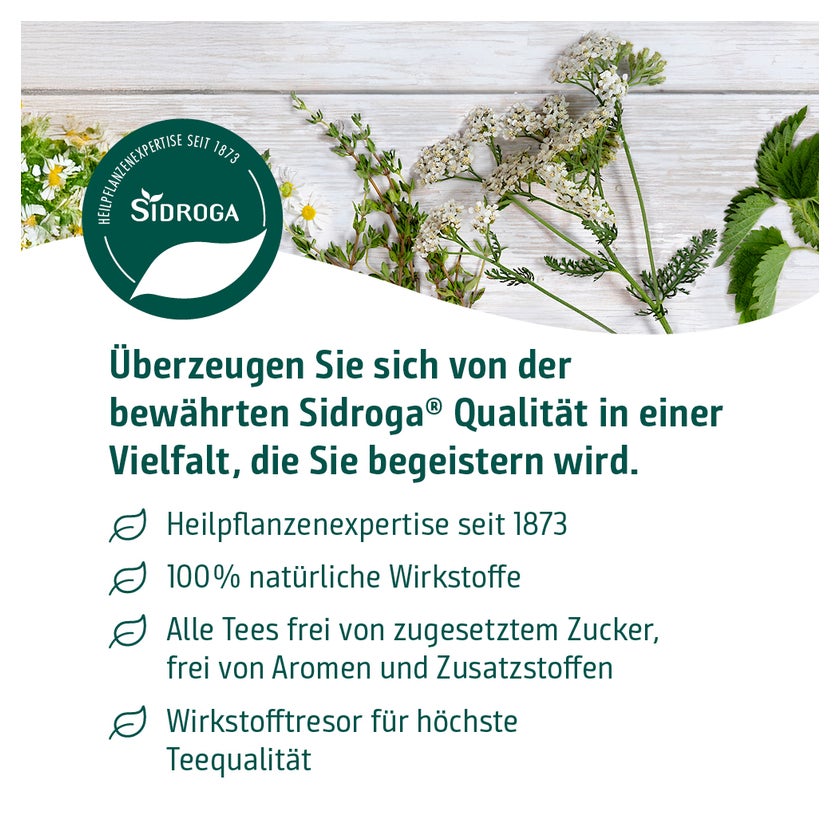 Sidroga Salbeiblätter Tee Filterbeutel 20X1,5 g