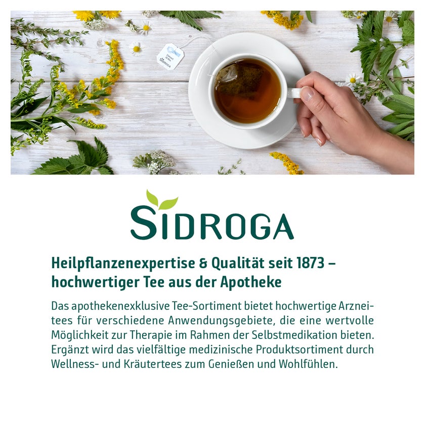 Sidroga Salbeiblätter Tee Filterbeutel 20X1,5 g