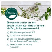 Sidroga Salbeiblätter Tee Filterbeutel 20X1,5 g