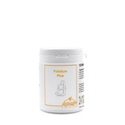 Folsäure PLUS Kapseln 120 St