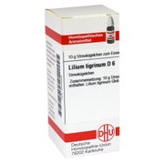 Produktabbildung: Lilium Tigrinum D 6 Globuli 10 g