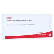 Produktabbildung: Glandulae Parathyreoideae GL D 30 Ampull 10X1 ml