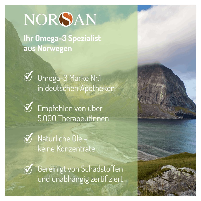 Norsan Omega-3 Vegan flüssig 100 ml