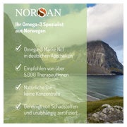 Norsan Omega-3 Vegan flüssig 100 ml