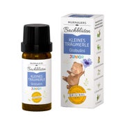 Murnauers Bachblüten "Kleine Träumerle" Globulini Junior 10 g