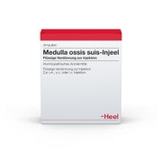 Produktabbildung: Medulla Ossis suis Injeel Ampullen 10 St