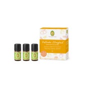 Produktabbildung: Set Duftendes Zitrusglück 1 P