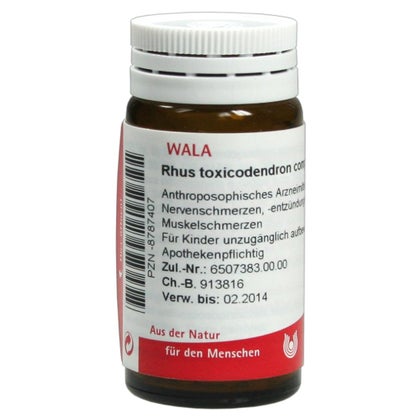 RHUS Toxicodendron Salbe 30 g online kaufen | DocMorris