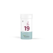 Produktabbildung: Schüßler-Salz Nr. 19 Cuprum arsenicosum D6 400 St