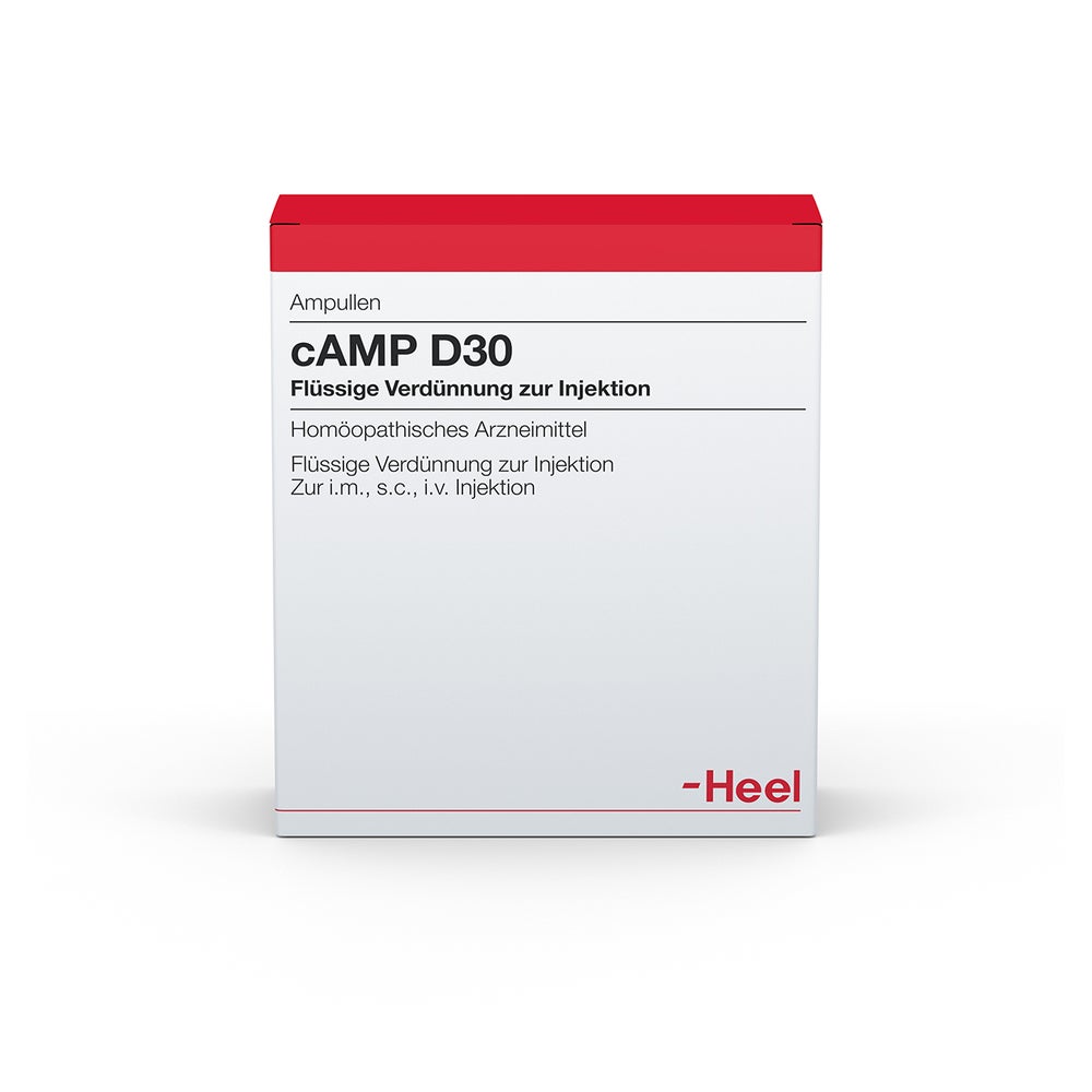 CAMP D 30 Ampullen 10 St
