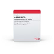 Produktabbildung: CAMP D 30 Ampullen 10 St