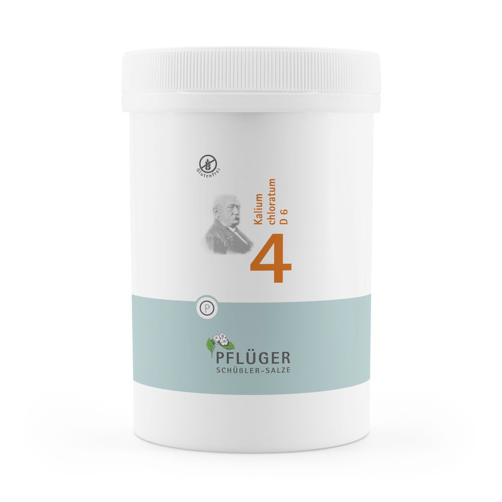 Biochemie Pflüger Schüßler-Salz Nr. 4 Kalium chloratum D6 4000 St