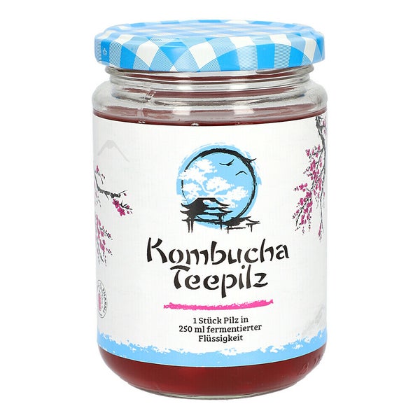 Kombucha Teepilz 1 St