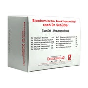 Dr. Reckeweg Schüßler Salz Haus- und Reiseapotheke, 12er-Set 12X200 St