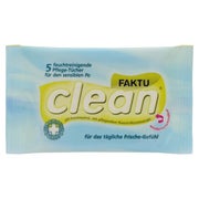 Faktuclean Tücher 5 St