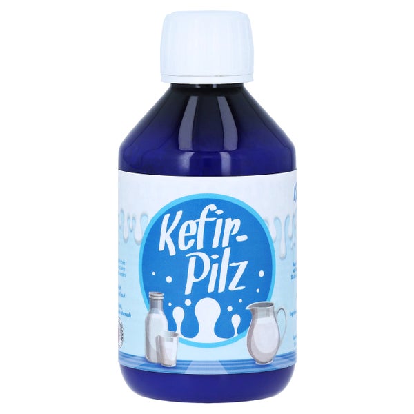 Kefir Pilz zur Bereitung aus Milch 1 St