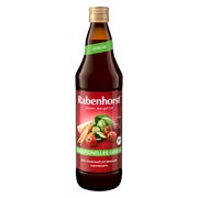 Rabenhorst Gemüse Saft Bio 700 ml