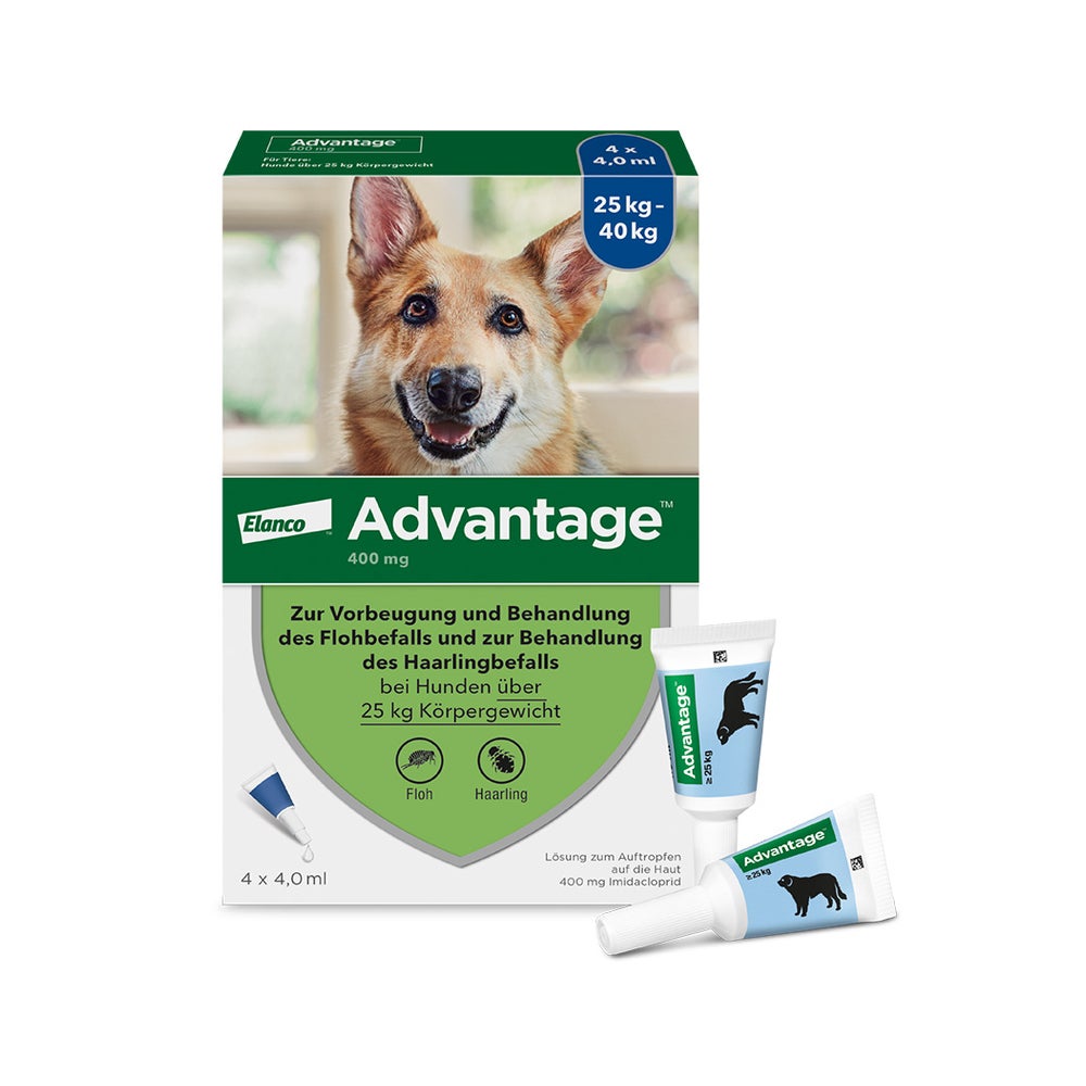 Advantage Spot-On 400 gegen Flöhegroße Hunde 1X4 St