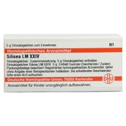 Produktabbildung: Silicea LM XXIV Globuli 5 g