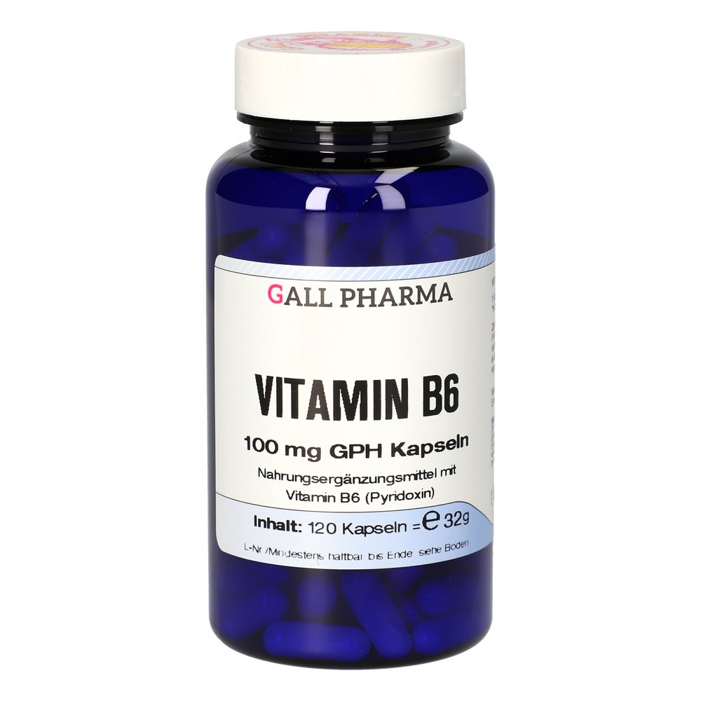 Vitamin B6 100 mg GPH Kapseln 120 St