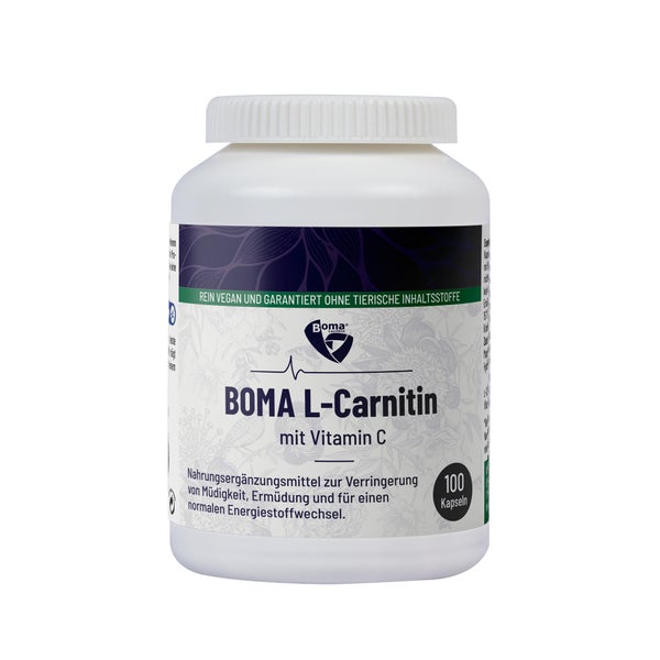 L-Carnitin 100 St
