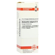 Alchemilla Vulgaris D 4 Dilution 20 ml