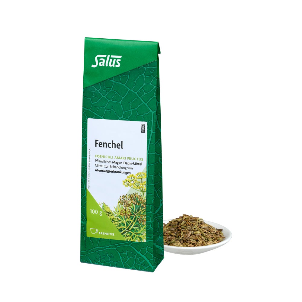 Fenchel Arzneitee Foeniculi amari fruct. 100 g