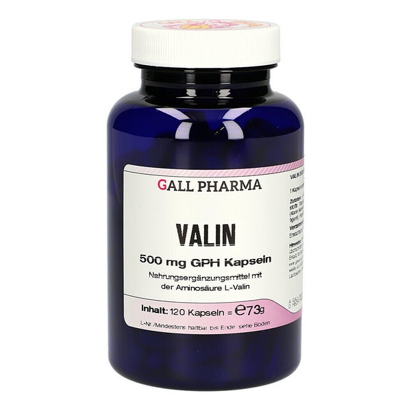 Valin 500 mg GPH Kapseln 120 St