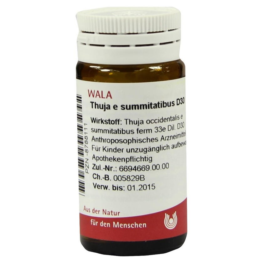 Thuja E Summitatibus D 30 Globuli 20 g online kaufen | DocMorris