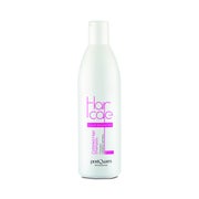 POSTQUAM HAARPFLEGE Koloriertes Haar 250 ML.