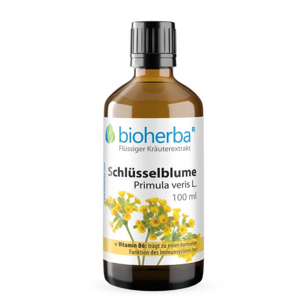 SchlÜsselblume Primula Veris Extrakt Tropfen 100 ml