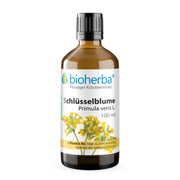 SchlÜsselblume Primula Veris Extrakt Tropfen 100 ml