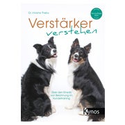 Verstärker verstehen