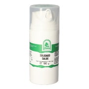 Solidago Salbe 90 g
